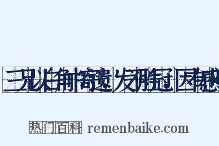 三兄以白角巾寄遗，发不胜冠，因有感叹是什么意思的图片